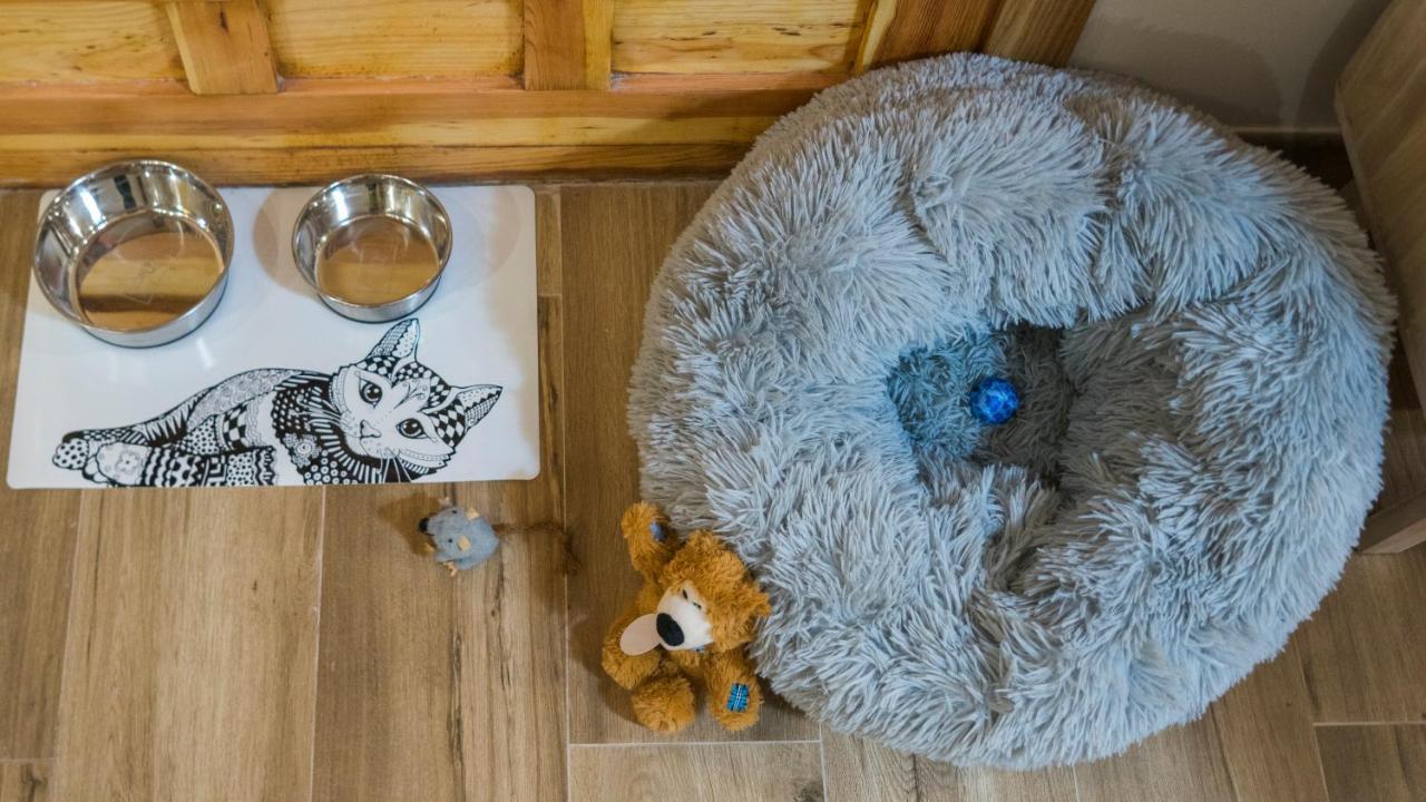 Apartamento ruh sara Toledo Esterno foto